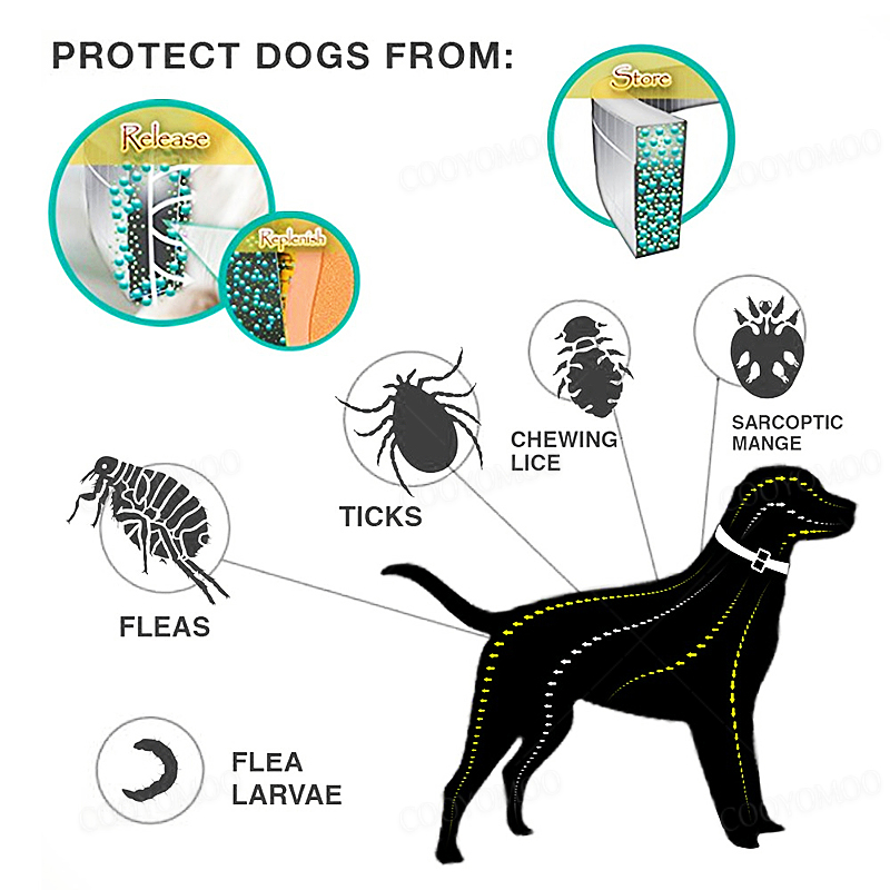 Dog Anti Flea And Tick Collars - Pet Immune Pir Sensor ulasan dan harga