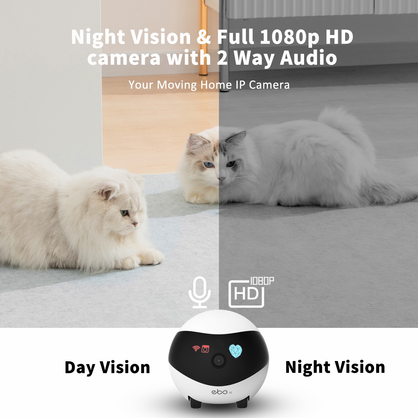 EBO SE Smart Home Robot Compan - Home Security Robots ulasan dan harga