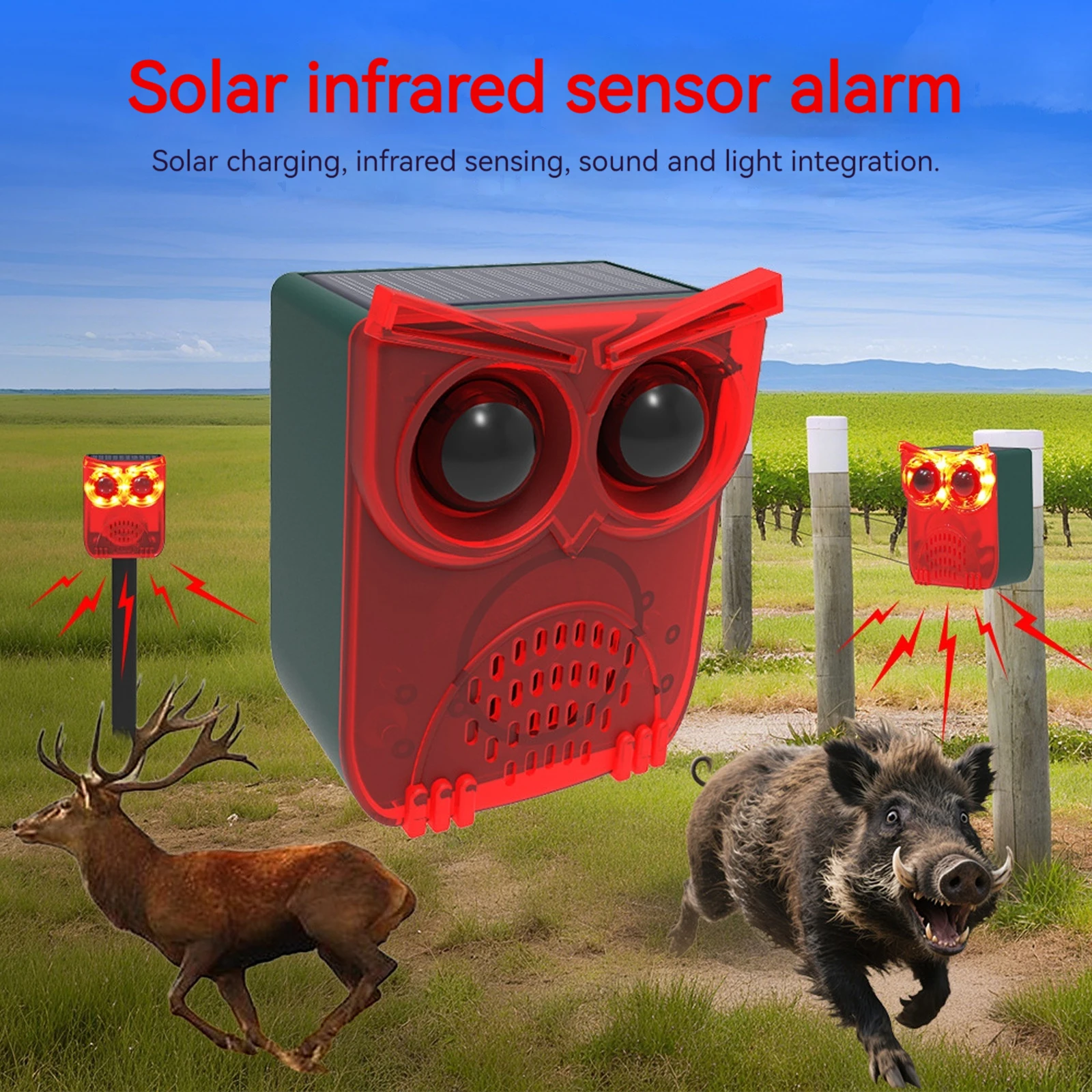 Outdoor Waterproof Solar Outdo - Pet Immune Pir Sensor ulasan dan harga