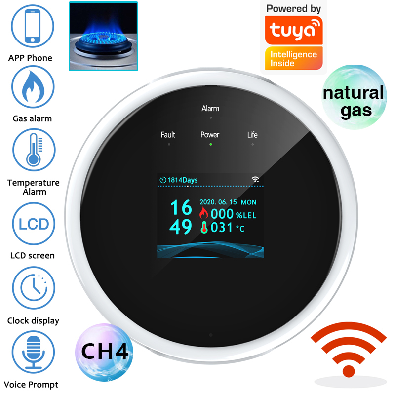 2.4G WiFi Gas Alarm Sensor Com - Home Security Equipment ulasan dan harga